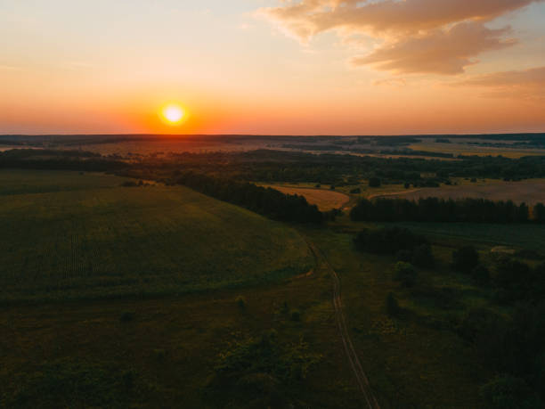 istock Agricultural field cereals aerial view 1492402515