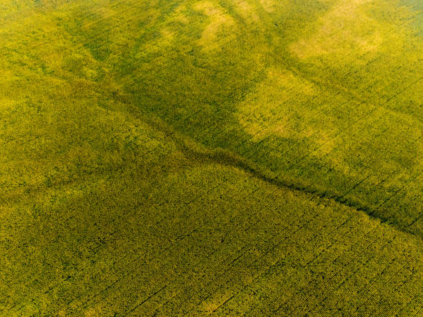 istock View of the river from above landscape 1492402522