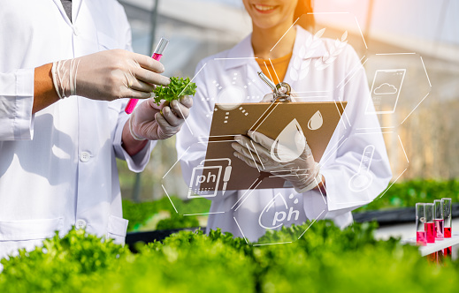 Scientists test the solution, Chemical inspection,Scientists test pH and measure carbon dioxide in vegetables. Check freshness at organic, hydroponic farm.