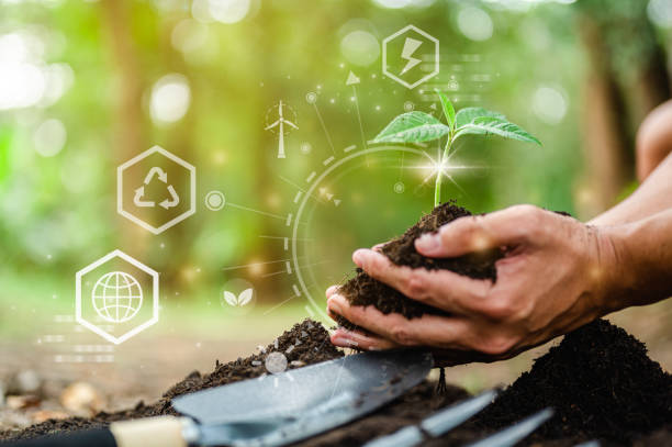 istock Hand holding green plant with icons energy sources for renewable, sustainable development. Ecology concept. 1492405898