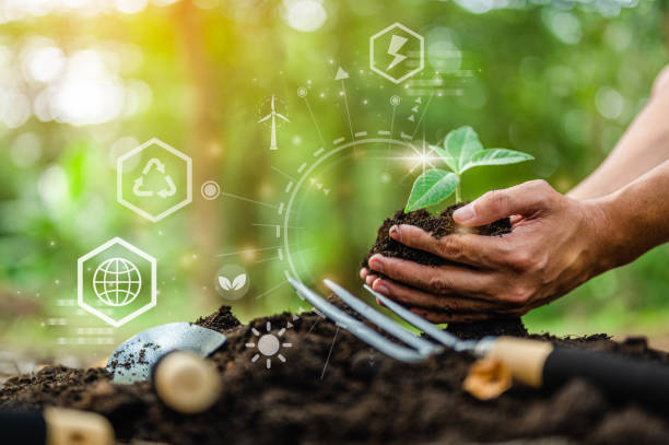 istock Hand holding green plant with icons energy sources for renewable, sustainable development. Ecology concept. 1492405909