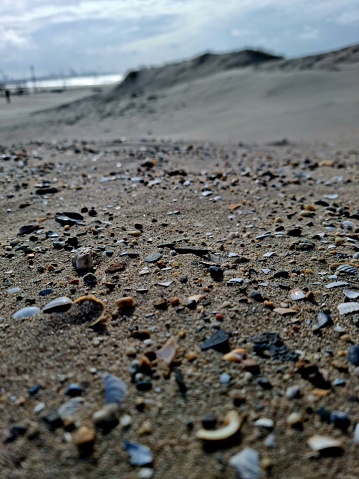 The image was captured at a beach near Rotterdam. Showing sand at the beach with shell fragments.