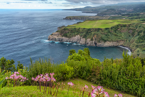 High angle view of Sao Miguel island from Santa Iria view point near Ribeira Grande, Azores, Portugal