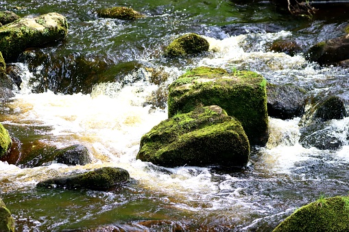 beautiful mountain stream in the Karkonosze (Krkonoše, Giant Mountains) mountains