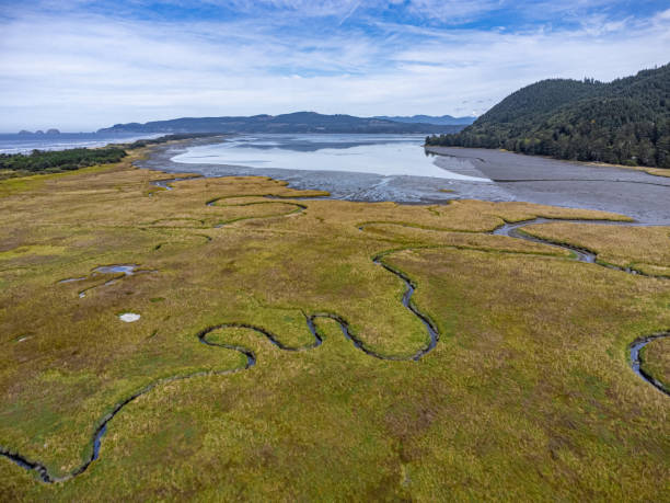 istock River winds it’s way through the marsh to the bay at the Oregon coast 1492418577
