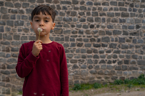 portrait of boy blowing on dandelion. boy blowing on dandelion he is holding in front of stone wall. Shot in daylight with a full-frame camera.