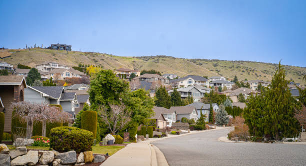 istock Suburban street in the Hills 1492424942
