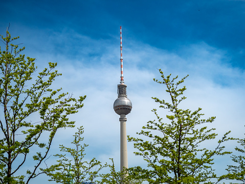 TV tower Alexanderplatz, behind the branches of trees, Berlin, Germany. Television tower in the center of Berlin.