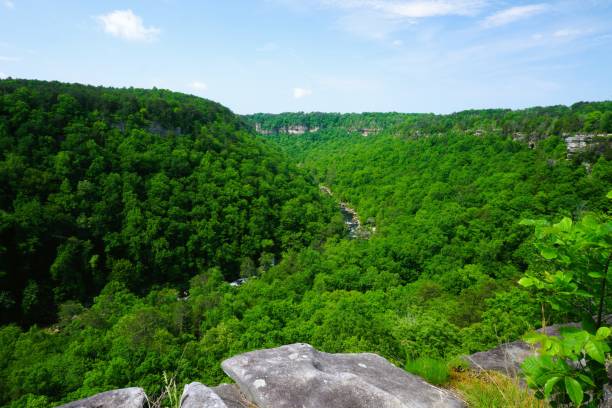 istock 202305 Little River National Preserve AL 1492437424