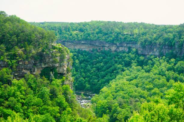 istock 202305 Little River National Preserve AL 1492437501