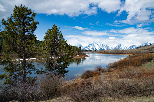 View of the Teton Range from Oxbow Bend in the Yellowstone Ecosystem of western USA, North America. Near city is Jackson, Wyoming.