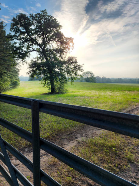 Sunset over hay field.  Gate entrance in foreground.