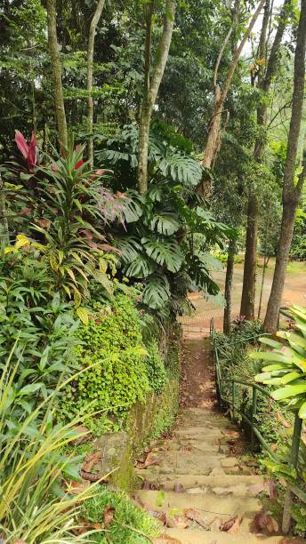 istock beauty of nature 1492450518