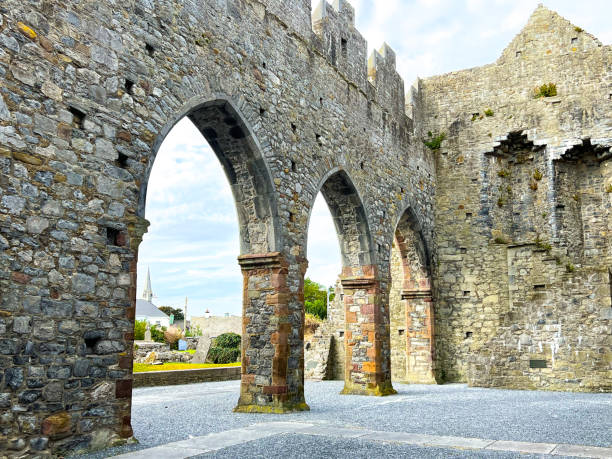 istock Ardfert Cathedral in Kerry - Ireland 1492452295