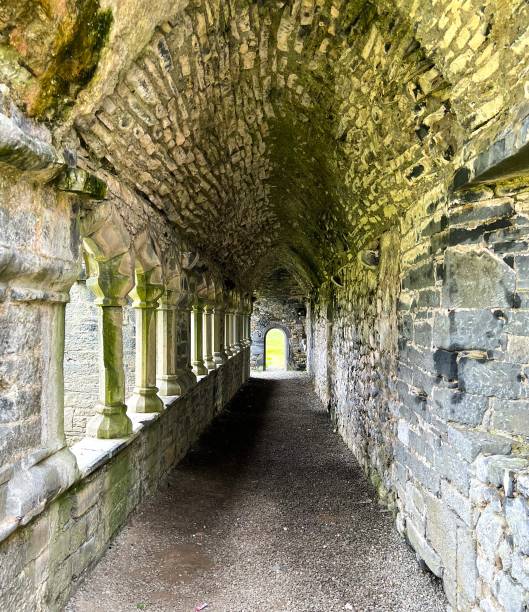 istock Ardfert Cathedral in Kerry - Ireland 1492452336