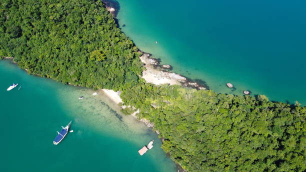 istock traveling through brazil 1492455418