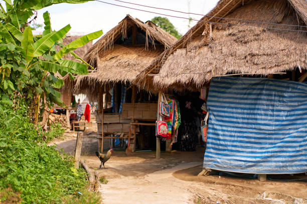 istock Palm Thatched Huts in a Thai Village 1492459591