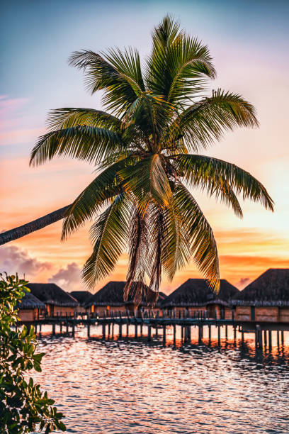 Tropical paradise beach with dramatic sky and colorful clouds during the sunset, Maldives