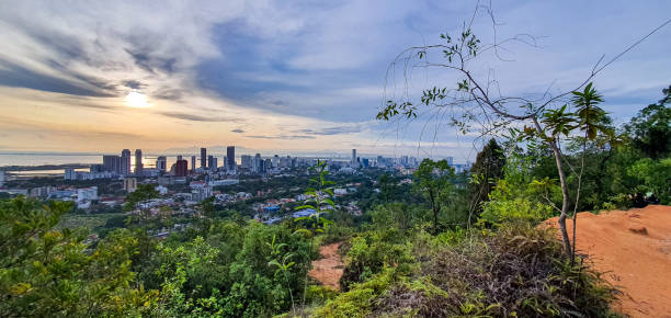 istock A bright morning view on the hill surrounded by forest trees and green plants. 1492469576
