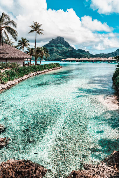 istock Tropical views of Bora Bora 1492469666