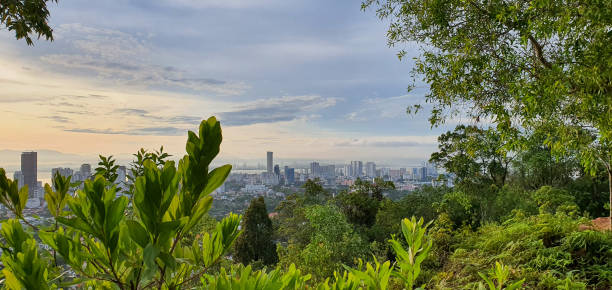 istock A bright morning view on the hill surrounded by forest trees and green plants. 1492469671
