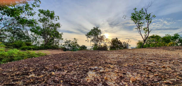 The sun rises on a beautiful horizon on a hill surrounded by trees and rocks.