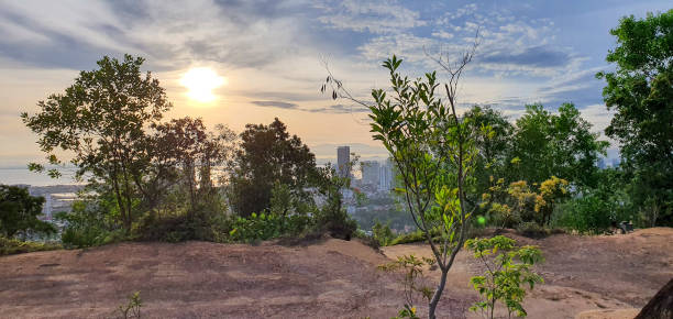 istock A bright morning view on the hill surrounded by forest trees and green plants. 1492469734