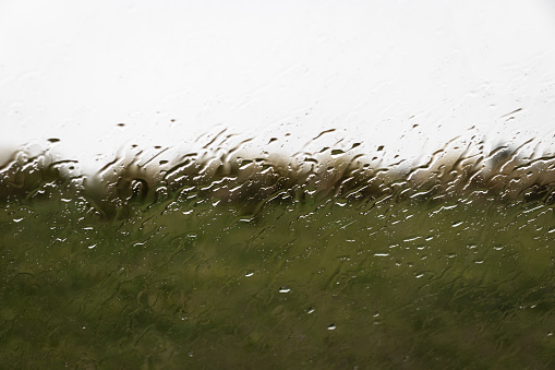 Abstract landscape image of outside on a rainy day viewed through a rain-covered window.