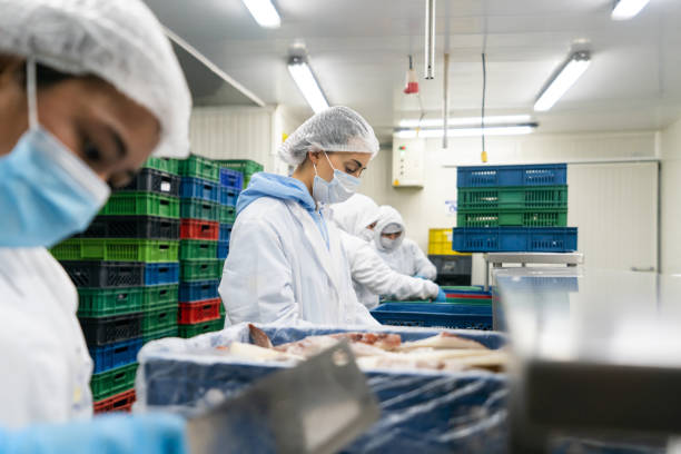 istock Group of workers working in the production line at a fish factory 1492471497