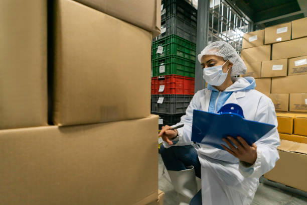 istock Forewoman working at a food processing plant supervising the transportation 1492471523