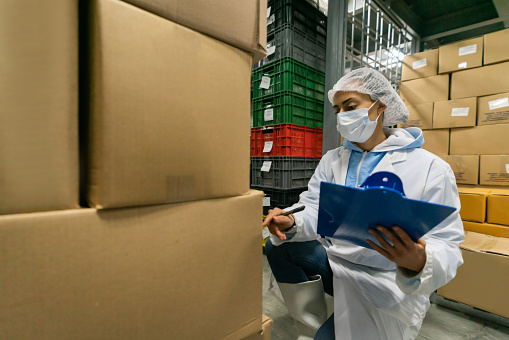 Latin American forewoman working at a food processing plant supervising the transportation of boxes of fish