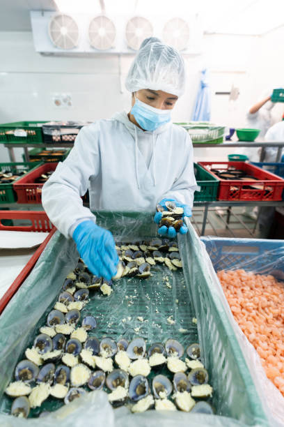istock Woman working at a fish factory on quality control 1492471558