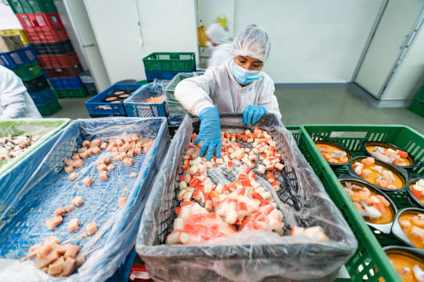 Woman working at a fish factory doing quality control