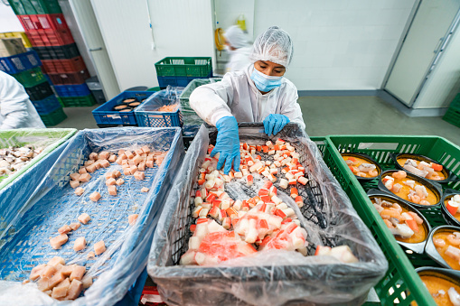 Latin American woman working at a fish factory doing quality control - food processing plant concepts