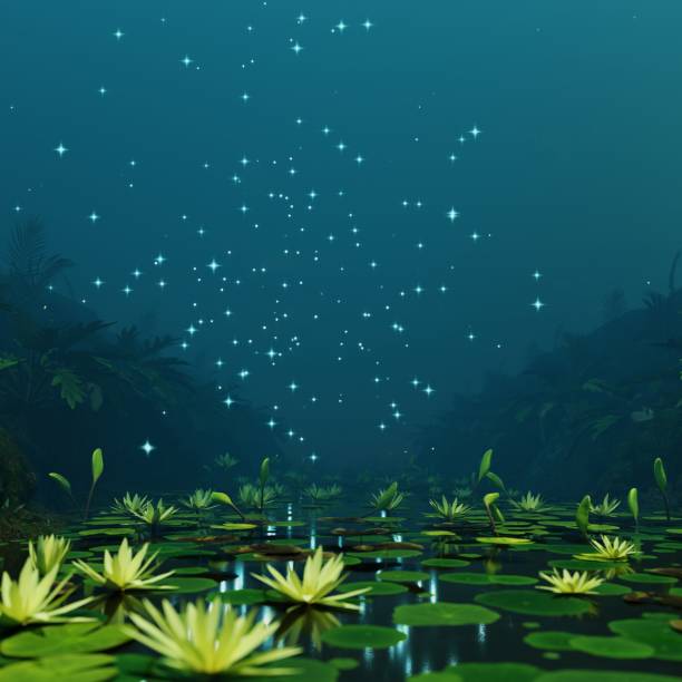 istock Water Lotus On Lake 1492482216