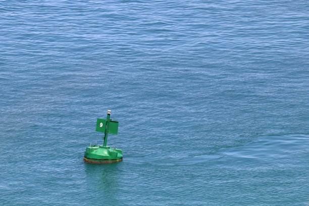 A green buoy floats in the open sea with spikes to prevent animals from landing on it