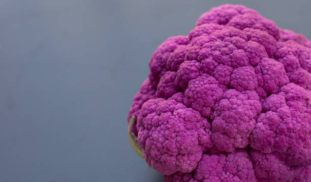 istock Purple cauliflower on dark background. 1492487387