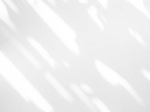 istock Shadow Background,Abstract Light White on Wall Floor,Overlay Sunlight Plant Leaf Minimal Mockup,Gray Surface Architecture on blur Cement Marble Tile Backdrop Space,Grey Color Luxury Pattern 1492488121