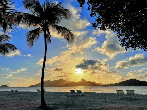 hora azul crepuscular caribeña - palm island fotografías e imágenes de stock