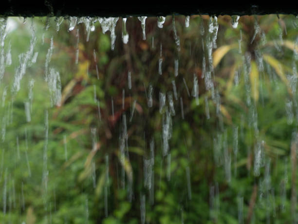 istock Rainwater pouring from the roof. 1492492983