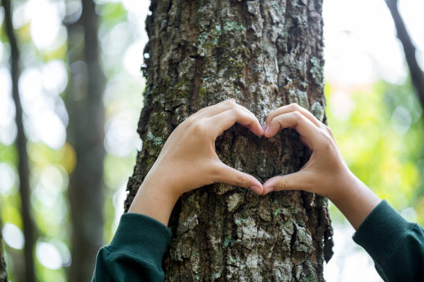 istock Hands hugging trees on world environment day. Woman in the woods hugging a tree with her arms. Earth Day concept. People must save the planet from deforestation. carbon dioxide and global warming. 1492493200