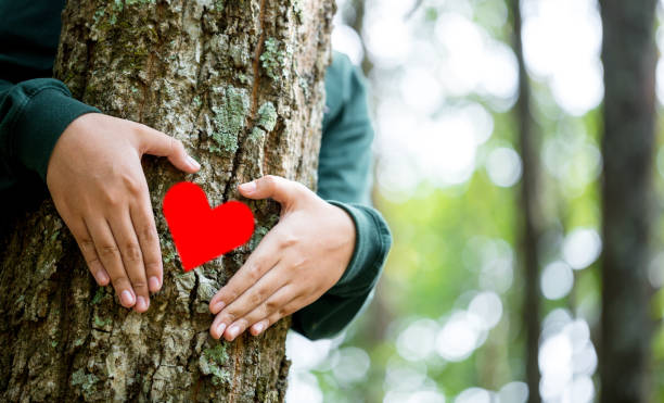 istock Hands hugging trees on world environment day. Woman in the woods hugging a tree with her arms. Earth Day concept. People must save the planet from deforestation. carbon dioxide and global warming. 1492493219