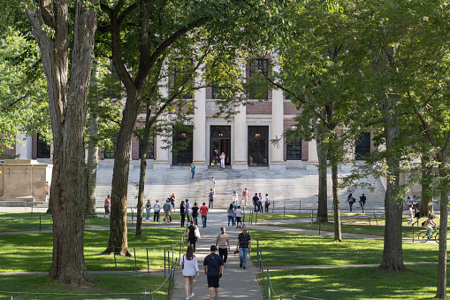 Cambridge, MA, USA - June 29, 2022: Harvard Yard, the oldest part of the Harvard University campus in Cambridge, Massachusetts. The Harry Elkins Widener Memorial Library is seen in the background.