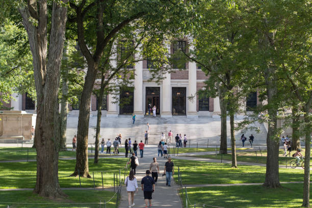 Harvard University Campus Cambridge, MA, USA - June 29, 2022: Harvard Yard, the oldest part of the Harvard University campus in Cambridge, Massachusetts. The Harry Elkins Widener Memorial Library is seen in the background. harvard university library stock pictures, royalty-free photos & images