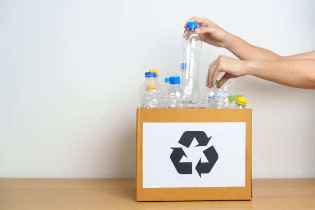 istock Volunteer keep plastic bottle into paper box at home or office. Hand Sorting Recycle garbage. Ecology, Environmental, pollution, Dispose recycling, waste management and trash Separation concept 1492500465