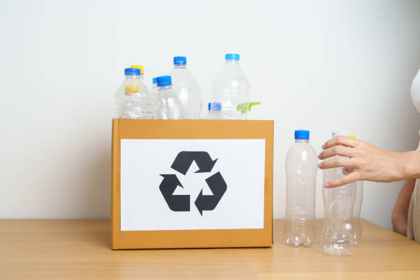 istock Volunteer keep plastic bottle into paper box at home or office. Hand Sorting Recycle garbage. Ecology, Environmental, pollution, Dispose recycling, waste management and trash Separation concept 1492500467