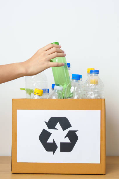 istock Volunteer keep plastic bottle into paper box at home or office. Hand Sorting Recycle garbage. Ecology, Environmental, pollution, Dispose recycling, waste management and trash Separation concept 1492500479