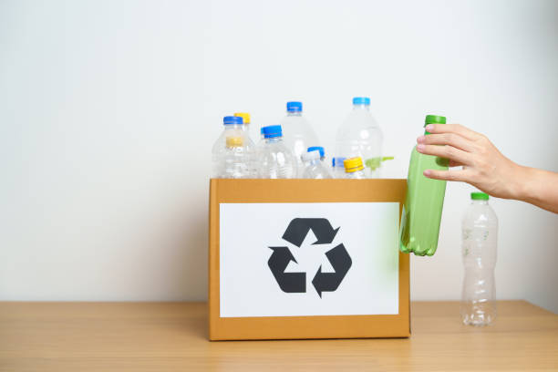 istock Volunteer keep plastic bottle into paper box at home or office. Hand Sorting Recycle garbage. Ecology, Environmental, pollution, Dispose recycling, waste management and trash Separation concept 1492500481