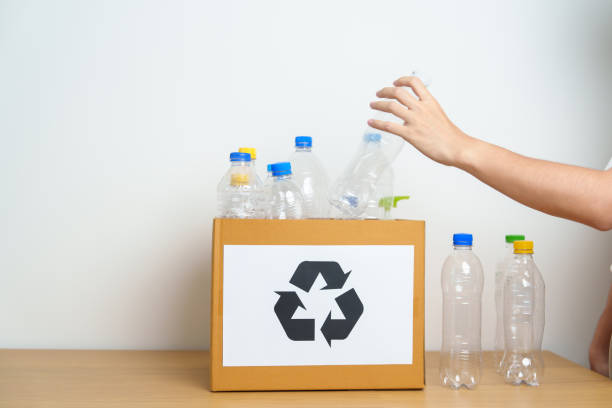 istock Volunteer keep plastic bottle into paper box at home or office. Hand Sorting Recycle garbage. Ecology, Environmental, pollution, Dispose recycling, waste management and trash Separation concept 1492500482