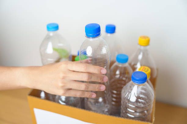 Volunteer keep plastic bottle into paper box at home or office. Hand Sorting Recycle garbage. Ecology, Environmental, pollution, Dispose recycling, waste management and trash Separation concept